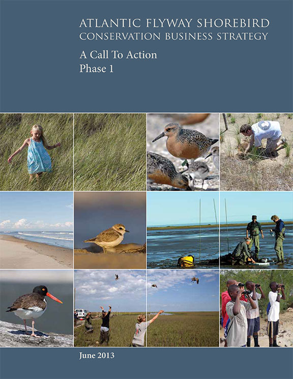 tn-atlantic-flyway-shorebird-conservation-business-strategy