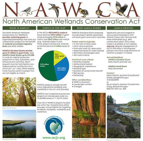 North American Wetlands Conservation Act - Atlantic Coast Joint Venture