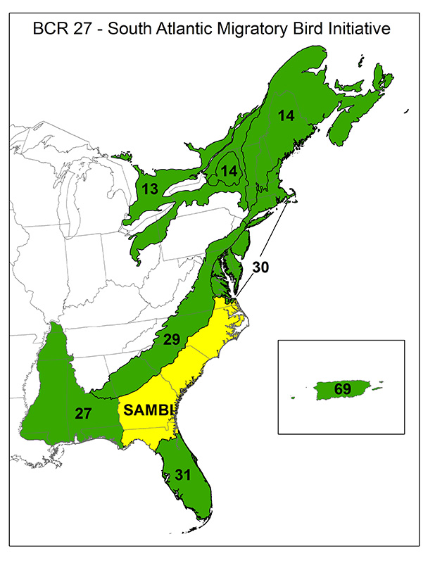 Upland Forest - Atlantic Coast Joint Venture