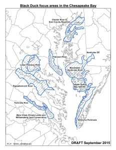 ABDU_chesbay_focus_map2