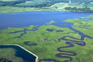 Photo courtesy of Chesapeake Bay Program