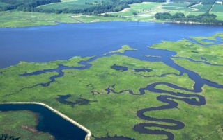 Photo courtesy of Chesapeake Bay Program