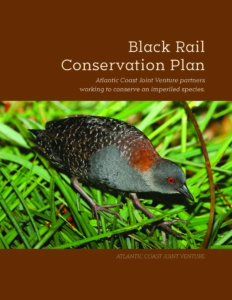 black rail plan cover