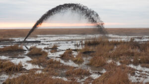 Sediment is sprayed onto marsh. Dave Harp