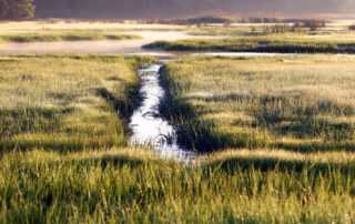 Great Marsh runnel. Division of Ecological Restoration, Mass. Department of Fish & Game