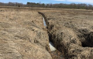 Runnel project at Parker River NWR to promote Spartina patens growth. USFWS/Nancy Pau