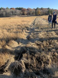 Ditch remediation. USFWS/Aimee Weldon