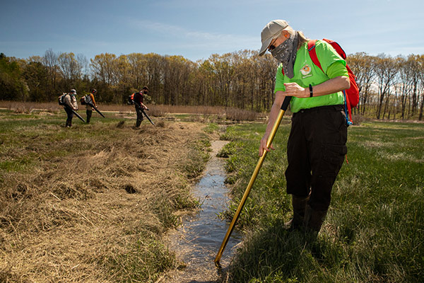 An example of runneling to restore salt marsh habitat. Lauren Owens Lambert