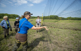 Director Martha Williams removes a Saltmarsh Sparrow from a mist net at Rachel Carson National Wildlife Refuge. USFWS