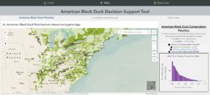 Image of the homepage of the Black Duck Decision Support Tool