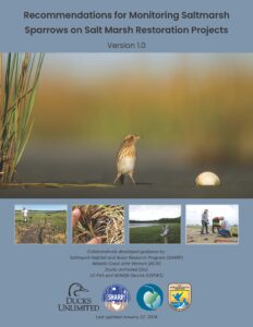 Cover for the Recommendations for Monitoring Saltmarsh Sparrows on Salt Marsh Restoration Projects
